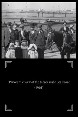 Panoramic View of the Morecambe Sea Front> (1901>)