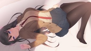 Rascal Does Not Dream of a Dreaming Girl ( 2019 )