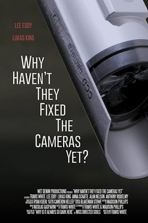 Why Haven't They Fixed the Cameras Yet? film complet