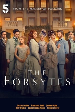  The Forsytes - Saison 1 affiche 