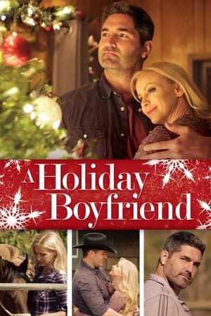 Poster A Holiday Boyfriend 2019