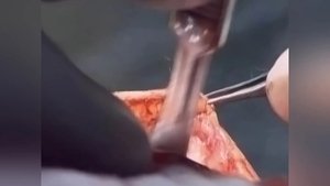 Flesh Eater