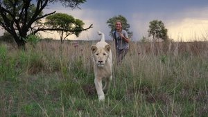 Mia y el Leon Blanco