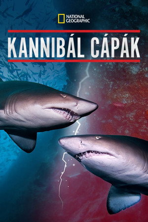 Cannibal Sharks 18