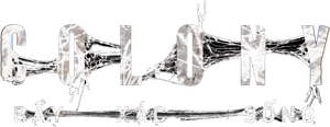 Ảnh 144