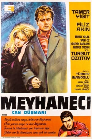 Meyhaneci (1964)