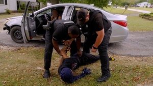 Bad day at the park