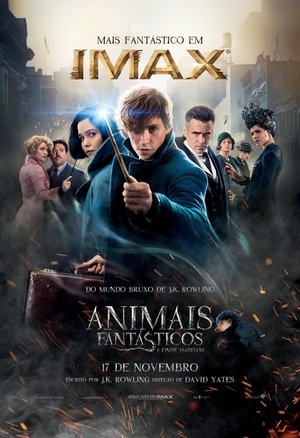 <Images posters