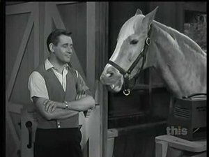 Mister Ed Season 2 Episode 24