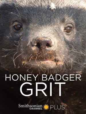 Poster Honey Badger: Grit 2018