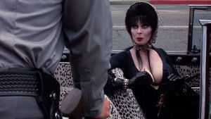 Elvira, Mistress of the Dark