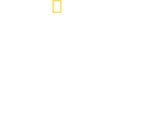 Shark vs. Surfer — Logos 1