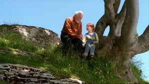 Der Schmetterling (2002)