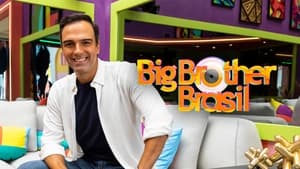 poster Big Brother Brasil