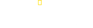 Great Shark Chow Down