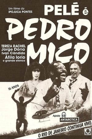 Poster Pedro Mico 1985