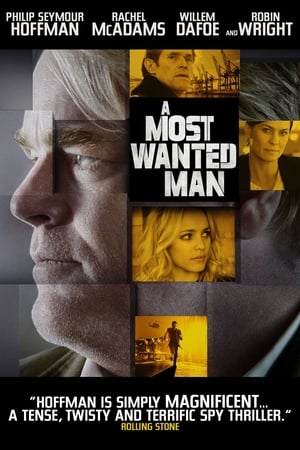 Click for trailer, plot details and rating of A Most Wanted Man (2014)