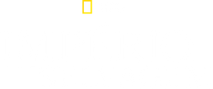 Império Selvagem — Logos 3