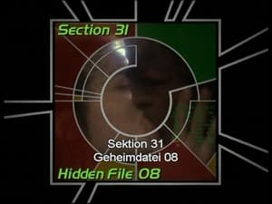 Image Section 31: Hidden File 08 (S06)