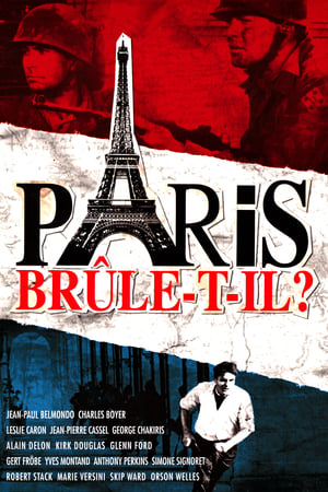 Poster Paris brûle-t-il? 1966