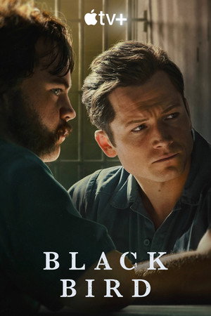 Black Bird 117