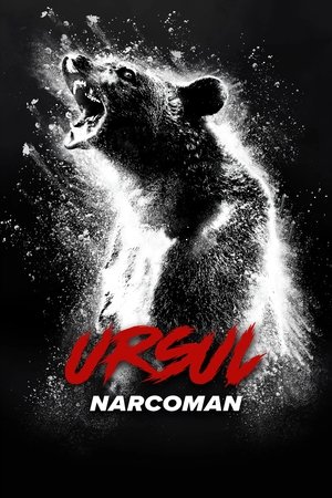 Image Ursul narcoman