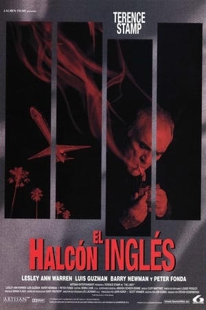 Poster El halcón inglés 1999