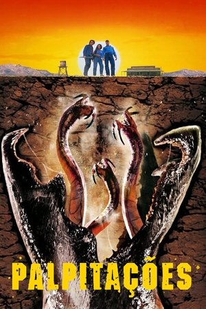 Image Palpitações