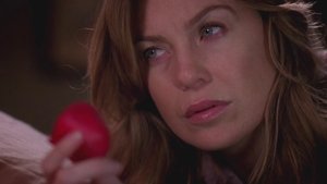 Grey’s Anatomy: Stagione 5 x Episodio 14