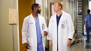 Grey’s Anatomy 12 x Episodio 4