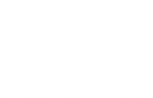 Control de fronteras: Brasil — Logos 2