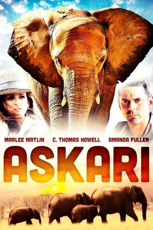 Poster Askari 2001