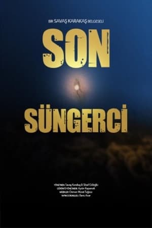 Son Süngerci (2012)