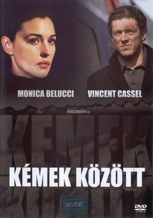 Poster Kémek között 2004