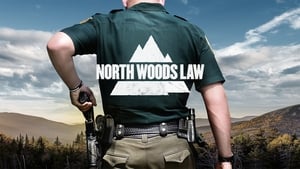 poster North Woods Law