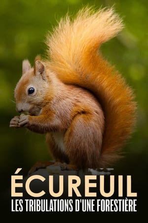 Poster Écureuil : Les Tribulations d'une forestière 2022