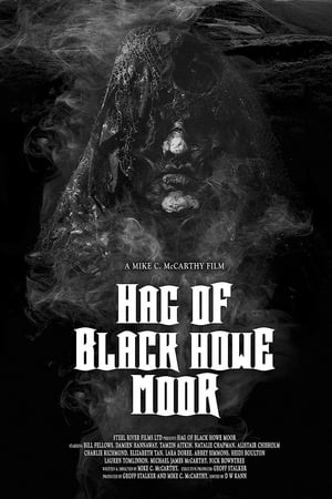 Poster Hag of Black Howe Moor (2020)