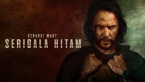 Images posters