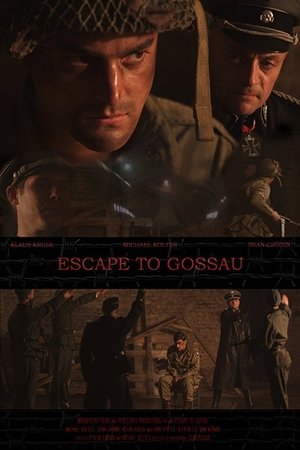 Poster Escape to Gossau (2013)