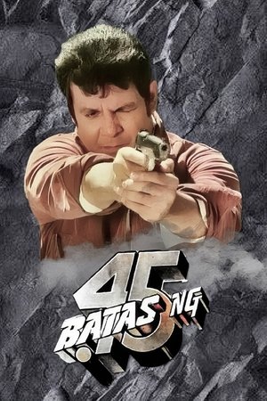 Poster Batas Ng .45 1991