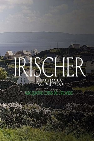 Image Irischer Kompass