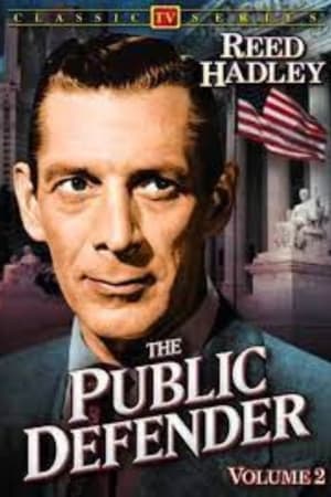 Public Defender film complet