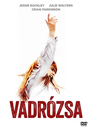 Poster Vadrózsa 2019