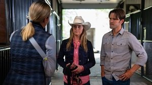 Heartland Temporada 12 Capitulo 6