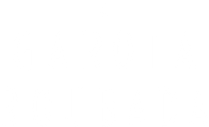 A Garota Roubada