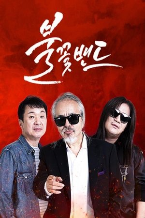 Image 불꽃밴드