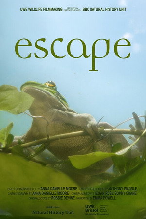 Escape (2026)