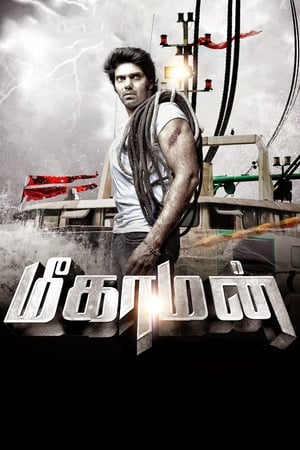 Meaghamann 2014