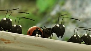 Minuscule – La valle delle formiche perdute