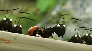 Minuscule: Aventura Furnicuțelor Rătăcite (2013) – Vizionează Online